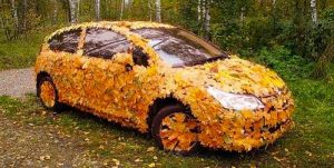 Автомобтль осенью